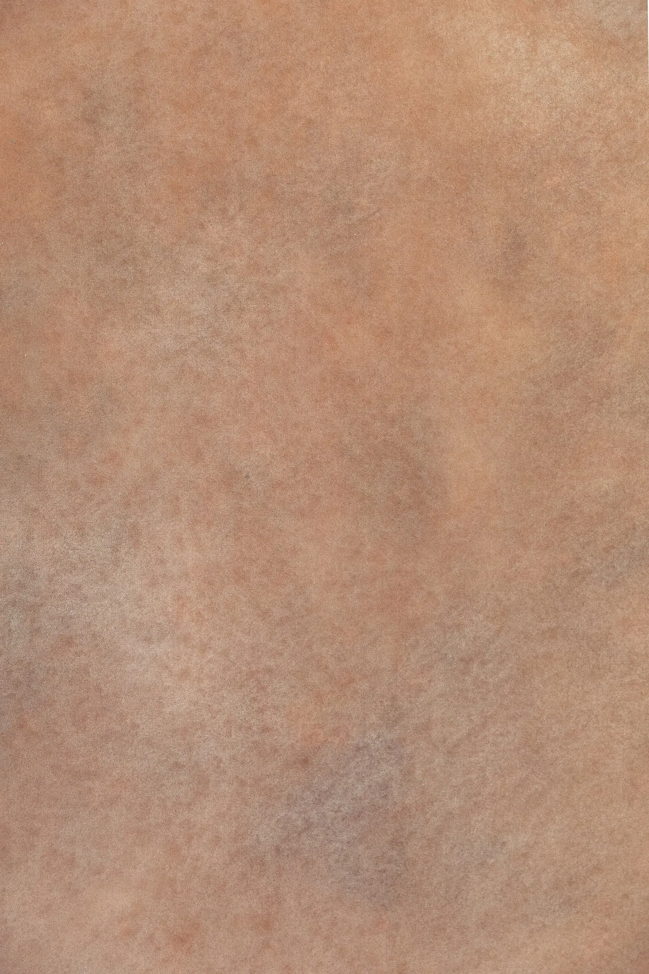 April Fawn #0620 Double-Sided Medium Sandstone Study Hand Painted Canvas Backdrop