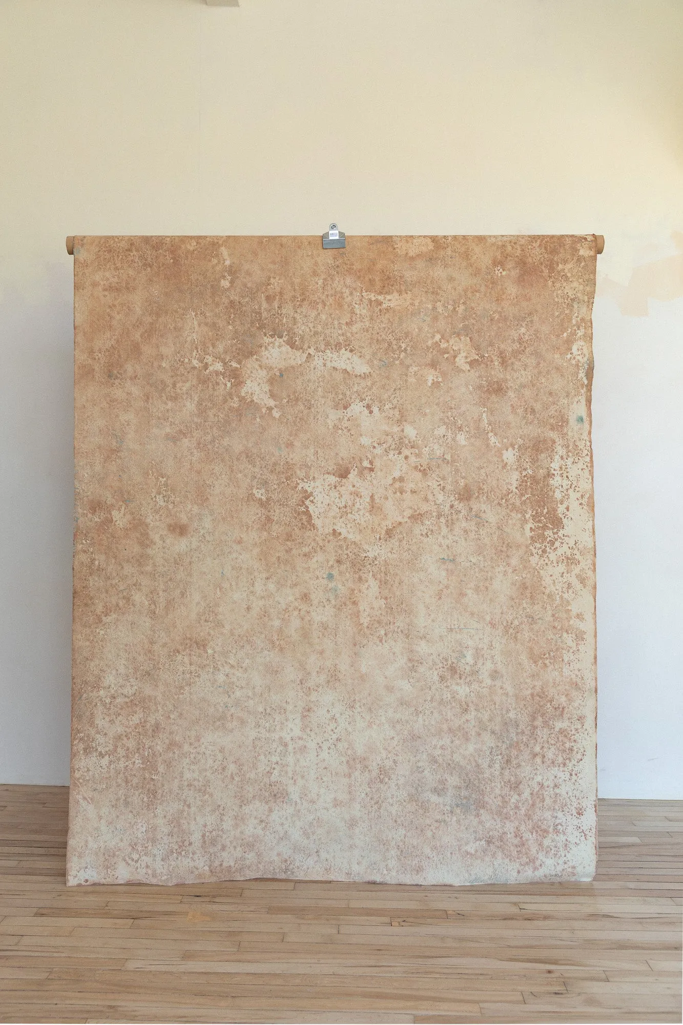 April Fawn #0620 Double-Sided Medium Sandstone Study Hand Painted Canvas Backdrop