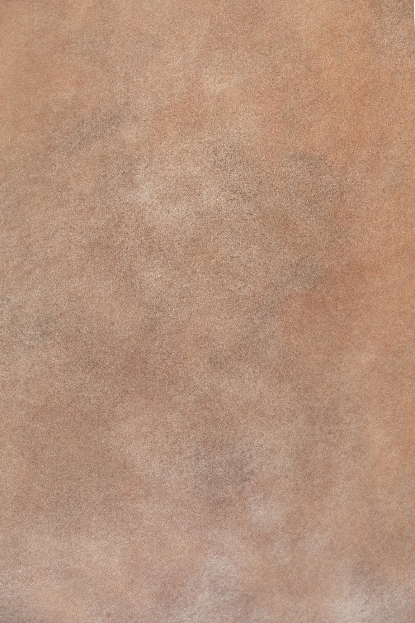 April Fawn #0620 Double-Sided Medium Sandstone Study Hand Painted Canvas Backdrop