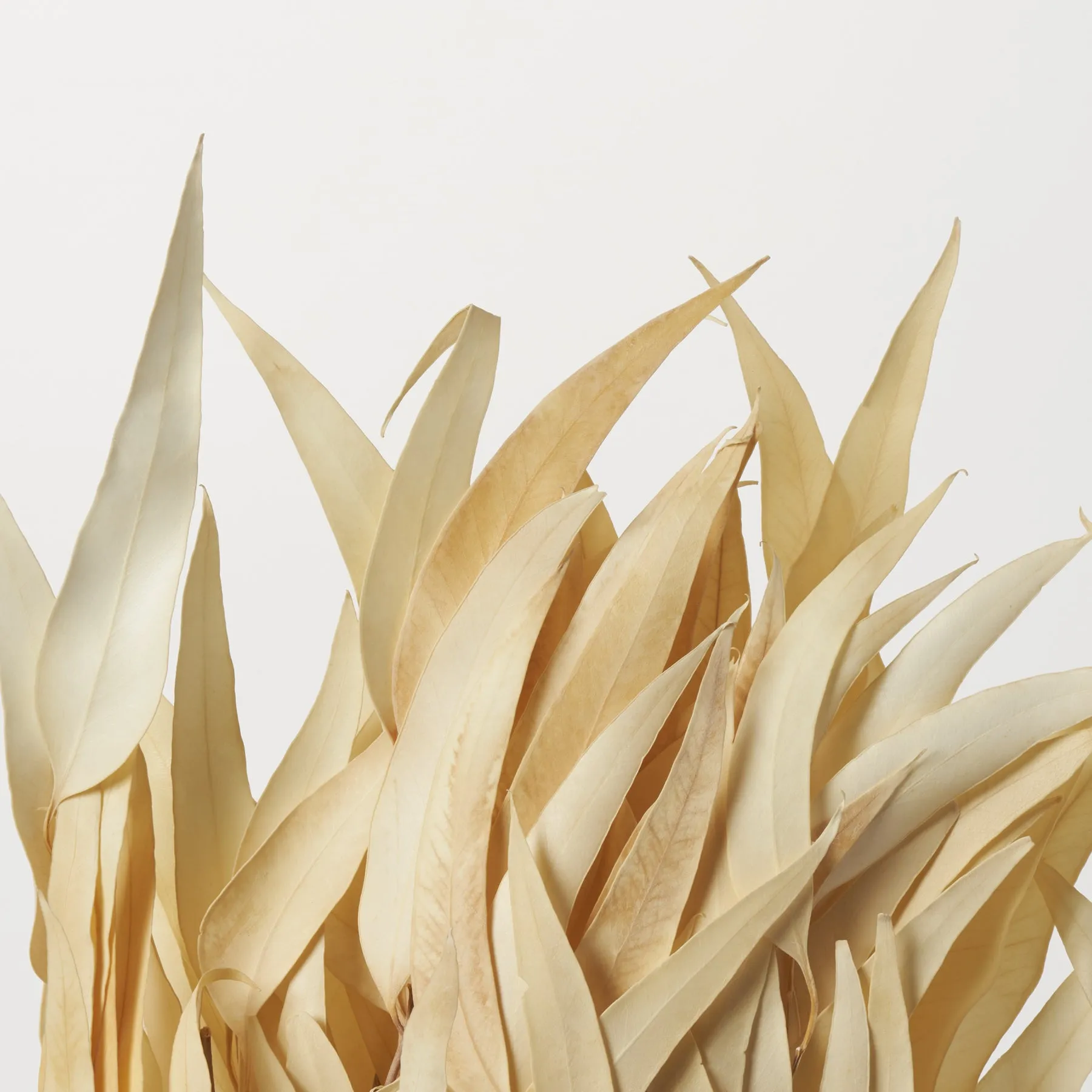 Bleached Willow Eucalyptus Bouquet Decorative Faux Bundle of 16 Stems