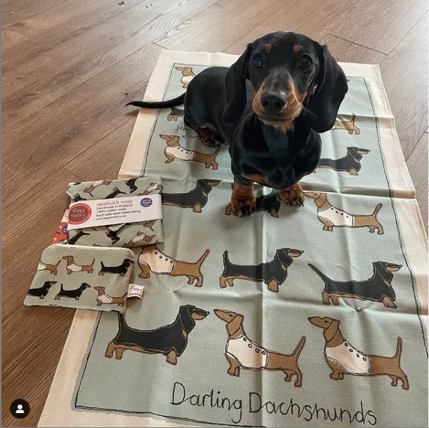 dachshunds tea towel