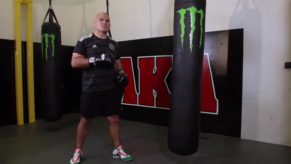Fundamentals of Power Punching by Cain Velasquez
