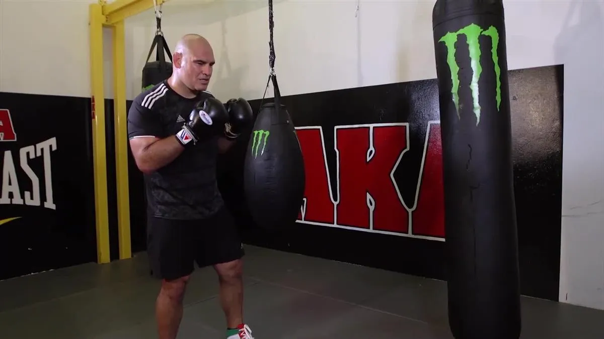 Fundamentals of Power Punching by Cain Velasquez